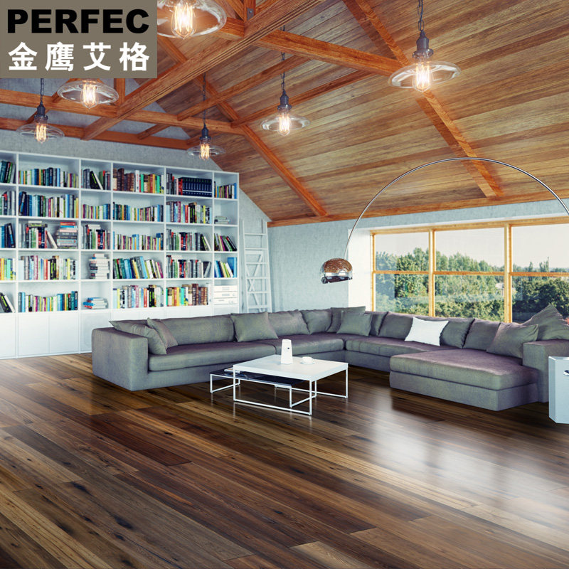 ��ӥ����ʵľ���ϵذ�6017