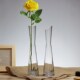 Small fresh glass transparent small vase desktop flower plug small mouth slender rose vase living room mini decoration