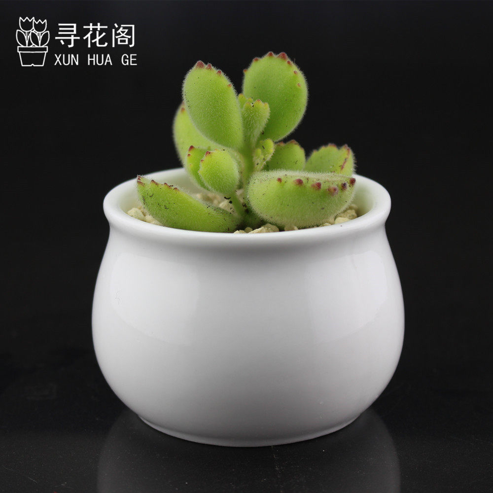 ������ֲ���辰