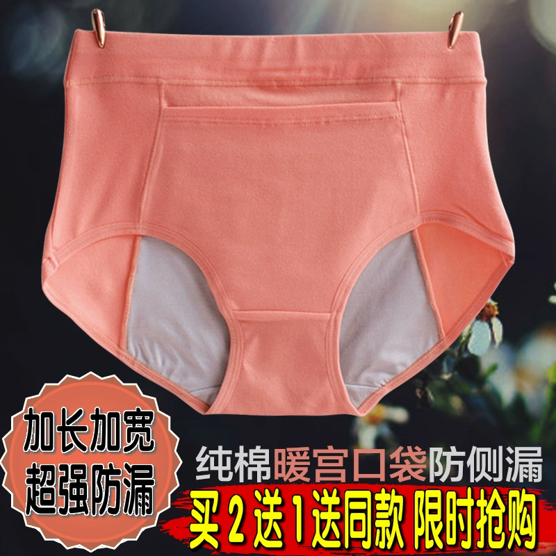 Cung điện Mùa đông Ấm áp Bông tinh khiết Thời kỳ kinh nguyệt Quần lót chống rò rỉ Sinh lý Cô gái giữa eo Thời kỳ của dì Quần lót chống rò rỉ - Giống cái