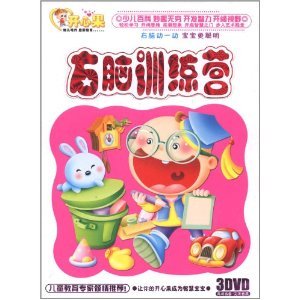 Right Brain Training Camp (3DVD) Pistachio Series