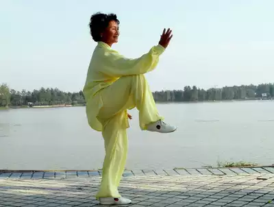 tai ji fu mian jia si tai ji fu summer autumn Tai Chi lian gong fu men wu shu fu fit the costume