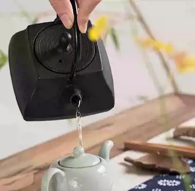 Japan imported handmade uncoated cast iron pot Southern old iron pot special Japanese boiled water Tea Set iron pot