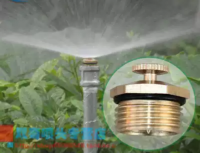 Atomization nozzle All copper humidification water spray lawn gardening sprinkler irrigation 360 degree garden fog humidification spray head