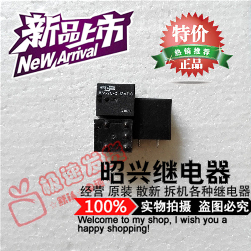 Special promotion 861-2C-C imported Matsugawa relay 861-2C-C 12VDC new spot