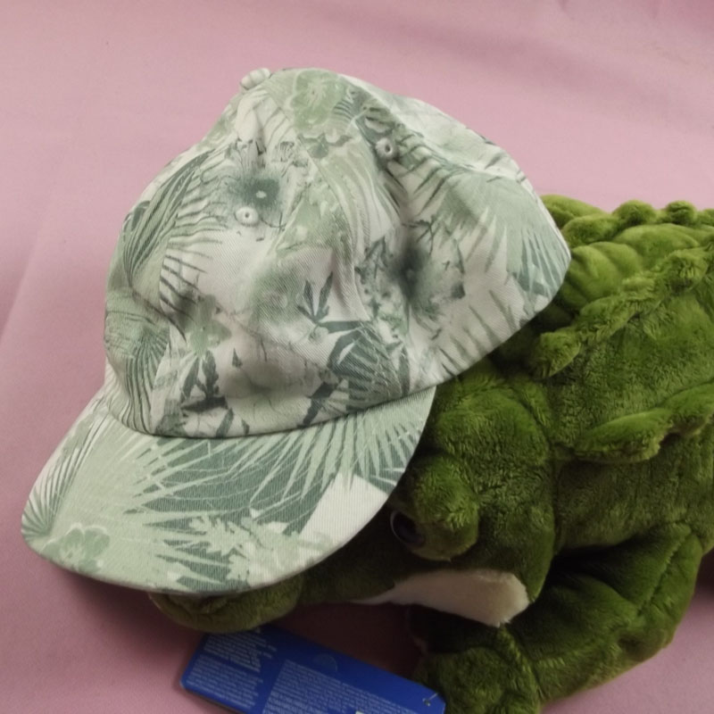 Dingsheng foreign trade male and female tides 100 hitch a casual baseball cap sunhat Out of the sun sunscreen Hood Duck Tongue Cap MZ014