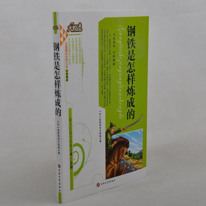 钢铁是怎样炼成的 大悦读 世界文学名著精粹 中学生课外书必读课外读物书籍 青少版名著 青少年课外书10-11-12-15岁 语文新课标