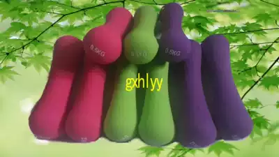 Small dumbbell children's Ladies Fitness dumbbells Zheng duoyan weight loss exercises complete sports equipment small dumbbell 0 5kg1kg