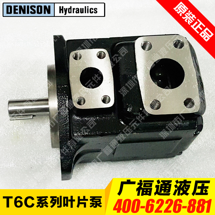 Denison T6C Series Blade Hydraulic Pump T6C 031 1R00 1R01 1R02 1R03 B1 C1 B5