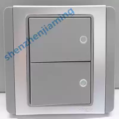 Schneider CLIPSAL Qisheng E3000 Metropolis Series Two Single Control with Fluorescent Switch Silver Gray