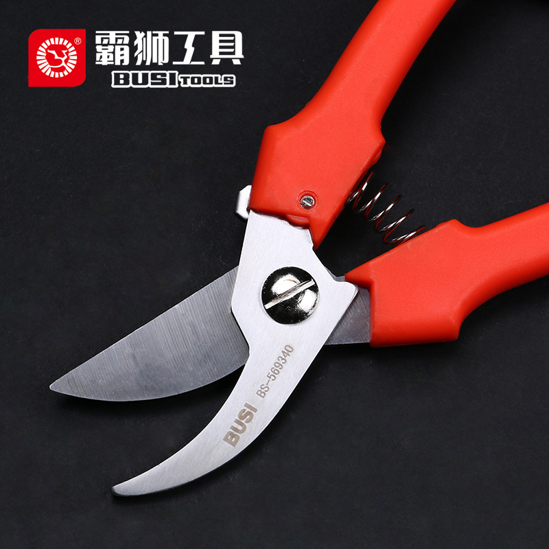 Bullion fruit gardening cut 8 inch fruit branches Pruning Gardener Cut Flowers Cut Branches Scissors Cut Branches Cut Branches Cut Flowers Branches Cut
