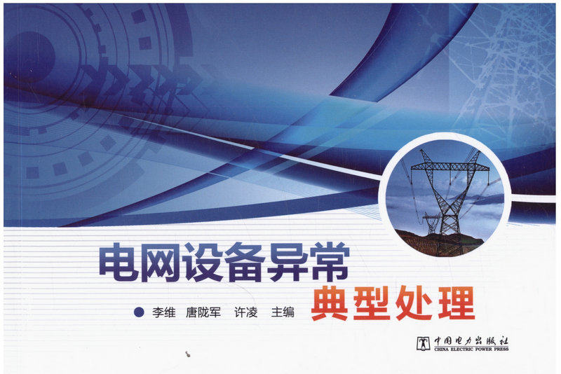 电网设备异常典型处理 李维等主编