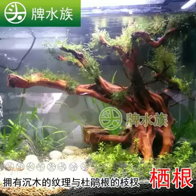 Vietnam natural flow sinking wood-branch type boutique habitat root Natural flow wood aquatic plant fish tank landscaping root