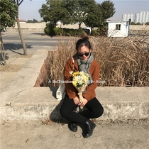 A Bao-Hanfeng ins Super Beautiful Simulation Daisy Bouquet Photo Props Pendulum Interior Decoration Plastic Flower Arrange