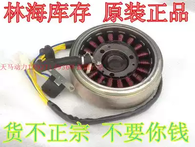 Mountain Leaf Majster 250 Coil YP250 Malaysia 250 ATV 18-pole stator Magneto coil
