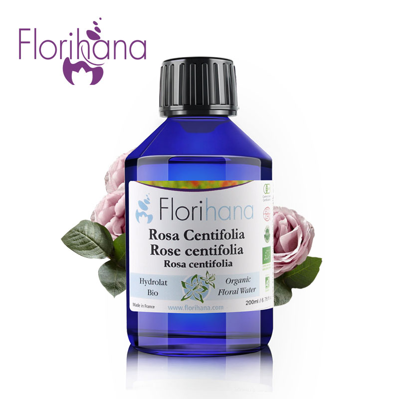 florihana洋蔷薇千叶玫瑰纯露 控油补水提拉紧致保湿爽肤水化妆水
