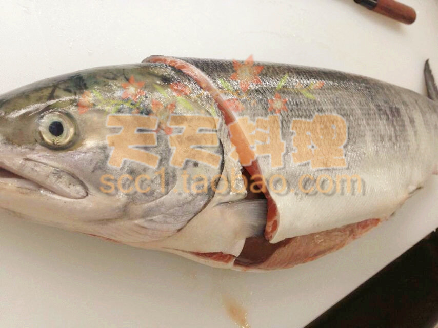 天天料理 新鮮訂製時不知鮭鮭魚帶籽鮭魚刺身築地市場訂 天天料理 新鮮訂製時不知鮭鮭魚帶籽鮭魚刺身築地市場訂