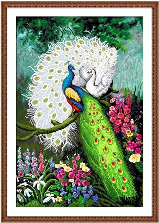 �ʼ�ksʮ����KSBBBBBBBBBB