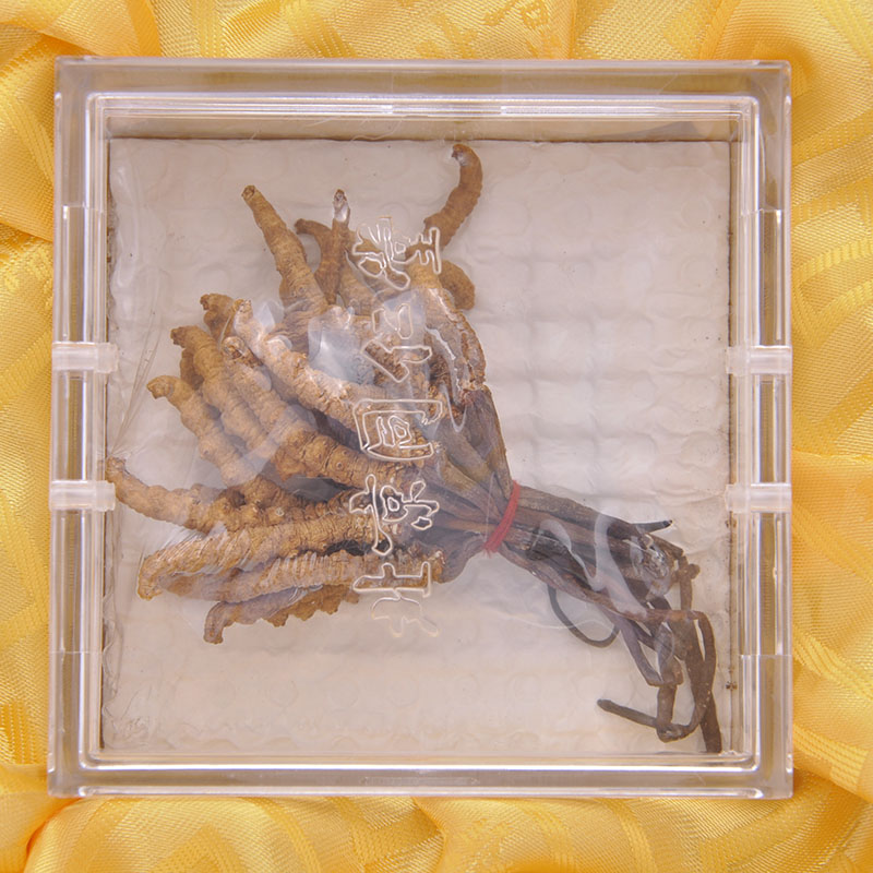 北京同仁堂冬虫夏草5g礼盒装新鲜西藏冬虫夏草无断草礼盒送礼品袋