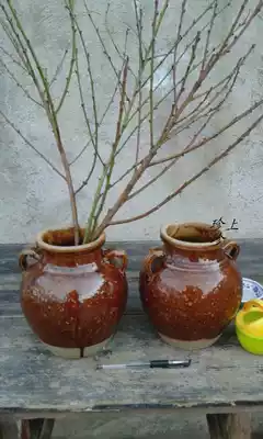 Yunnan Dali handmade earthen pottery jar binaural thickened glaze with a little earthen jar Home flower arrangement bottle characteristic ornaments