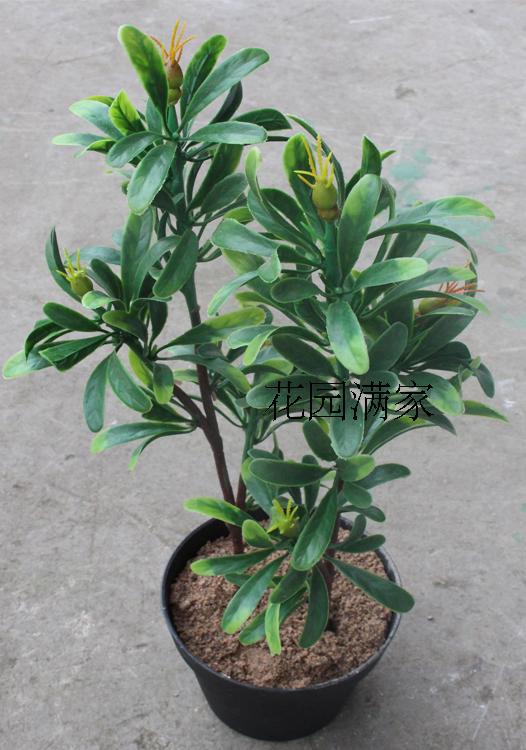 New Products Emulation Green Vegetal Fake Fruits Plastic Leaves 3 Fork Candle Leaves Background Matching Shooting Engineering Direct