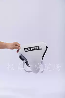 Karate Taekwondo Crotch guard