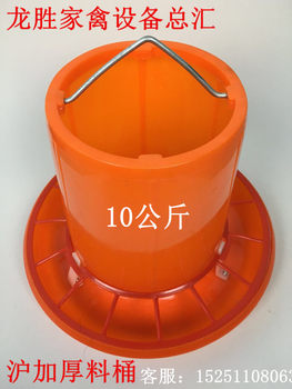 Shanghai-style thickened chicken large barrel breeding chicken