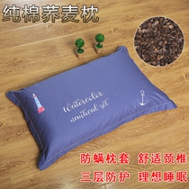 Buckwheat Pillow Buckwheat Pillow Full Buckwheat Leather Pillow Core Pure Buckwheat Shell Adult Pillow Pure Cotton Cervical Spine Pillow Full Buckwheat Pillow