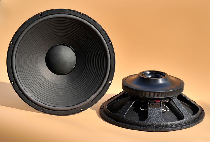 Love at First Listen: High-End Brand 15inch Woofer Speaker, Hifi Audiophile Speaker, Genuine Product Love at First Listen: High-End Brand 15inch Woofer Speaker, Hifi Audiophile Speaker, Genuine Product