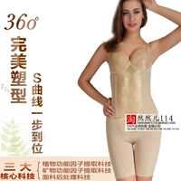 Hồng Kông Antinian phong cách hoàng gia đích thực corset chất béo quản lý cơ thể phù hợp với khuôn chia áo lót