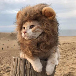 ຂໍ້ສະເໜີພິເສດ cat lion headband funny pet dress up ear hat dog cat cat cute funny headdress hair accessories