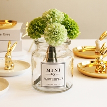 Mino dreamers INS Nordic glass vases transparent retro sticker small floral microscape table decoration