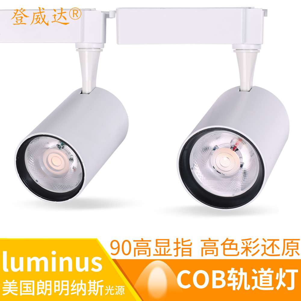 ������led�����cob���ZY-06-DSP-7009