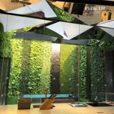 Индивидуальная крупноклапальная фона растительная фона стена Зеленая растение Выпуск растений.