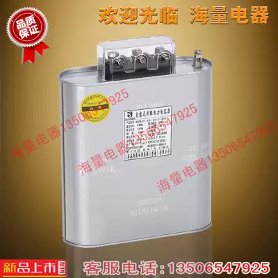 Shanghai Wiskang BCMJ BZMJ BSMJ0 45-28-3 power capacitor 450v 18Kvar