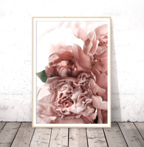 Pink rose flower modern minimalist plant flower photography narration decorative painting living room bedroom bedside painting