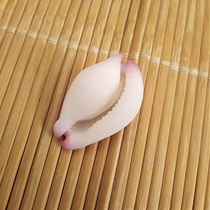 Natural conch shell 2-3cm Jade Rabbit snail treasure snail aquarium aquarium fish tank landscape window decoration diy handmade