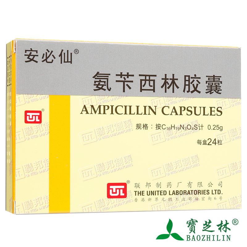 安必仙 安必仙 氨苄西林胶囊 0.25g*24粒/盒