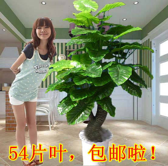 Simulation dripping Guanyin simulation green plant fortune tree big fake tree potted bonsai living room hotel floor fake flower decoration
