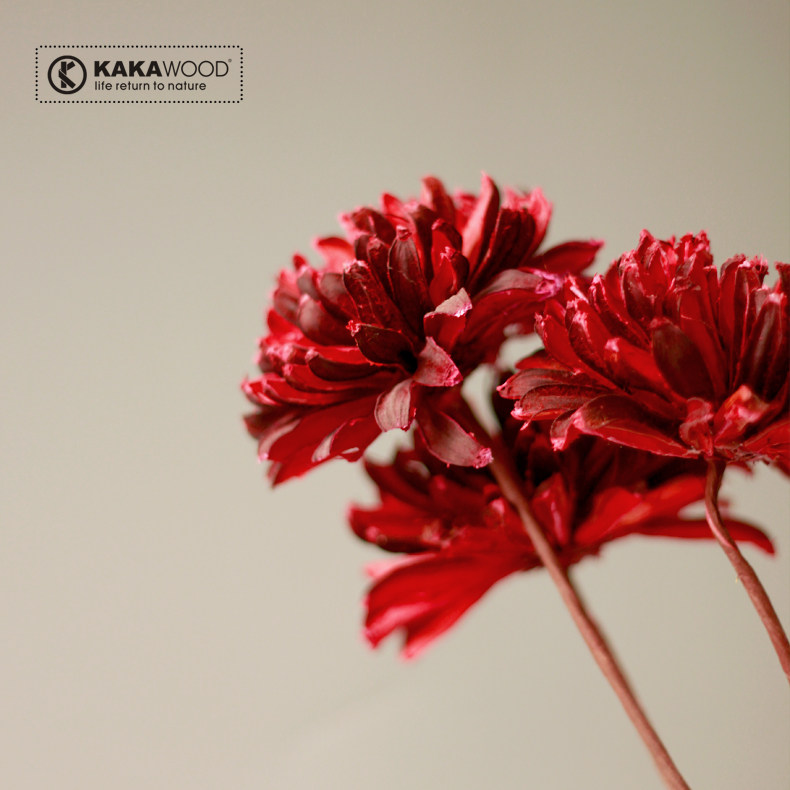 kakawood�ؾӼҾ���װ����ɻ��ɻ���