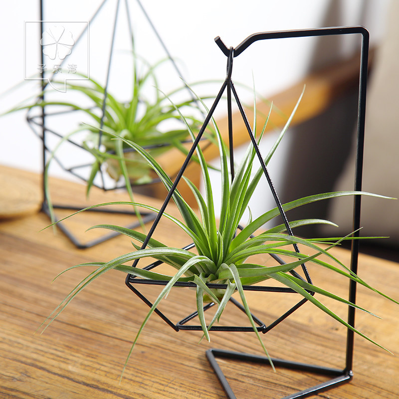 �������辰��������