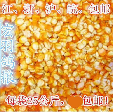 Pigeon corn feed corn pigeon food pigeon special corn small golden yellow 50 kg (only issued in Jiangsu, Zhejiang, Shanghai and Anhui)