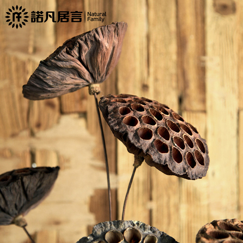 ŵ�����Բ����Ѹ�����