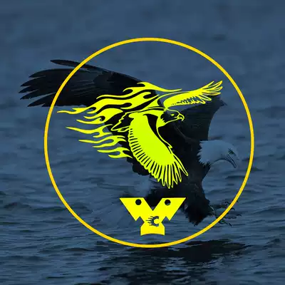 Ship eagle fishing gear postage and make up the difference, take as many pieces as you want I wish you a happy shopping