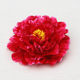 仿真大朵牡丹花头花朵幼儿园演出舞台舞蹈道具手拿花假花头饰绢花