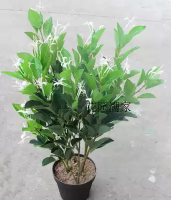 Simulation plant Fake silk tree honeysuckle 5-fork honeysuckle double mini potted plant engineering accessories decoration factory direct sales