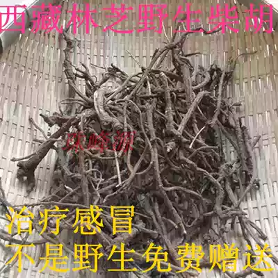  The quality of wild bupleurum in the Nyingchi plateau in Tibet is far higher than that of artificial wild