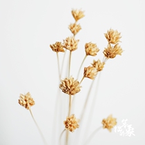 (small mountain flower) imported natural real flower small dry flower Mini Diy jelly mouth red fine mouth vase flower arrangement decoration