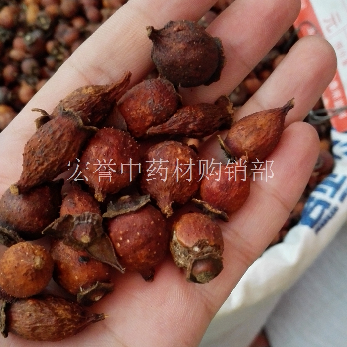 Golden Cherry Golden Lion Spurs Elm Piercing Pears Golden Pope Dry 500g