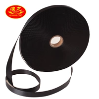 Huanglong Qilin Whip Special Craid Tips Советы по боевым искусствам подготовка
